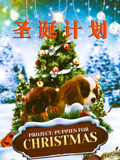 圣诞计划 普通话