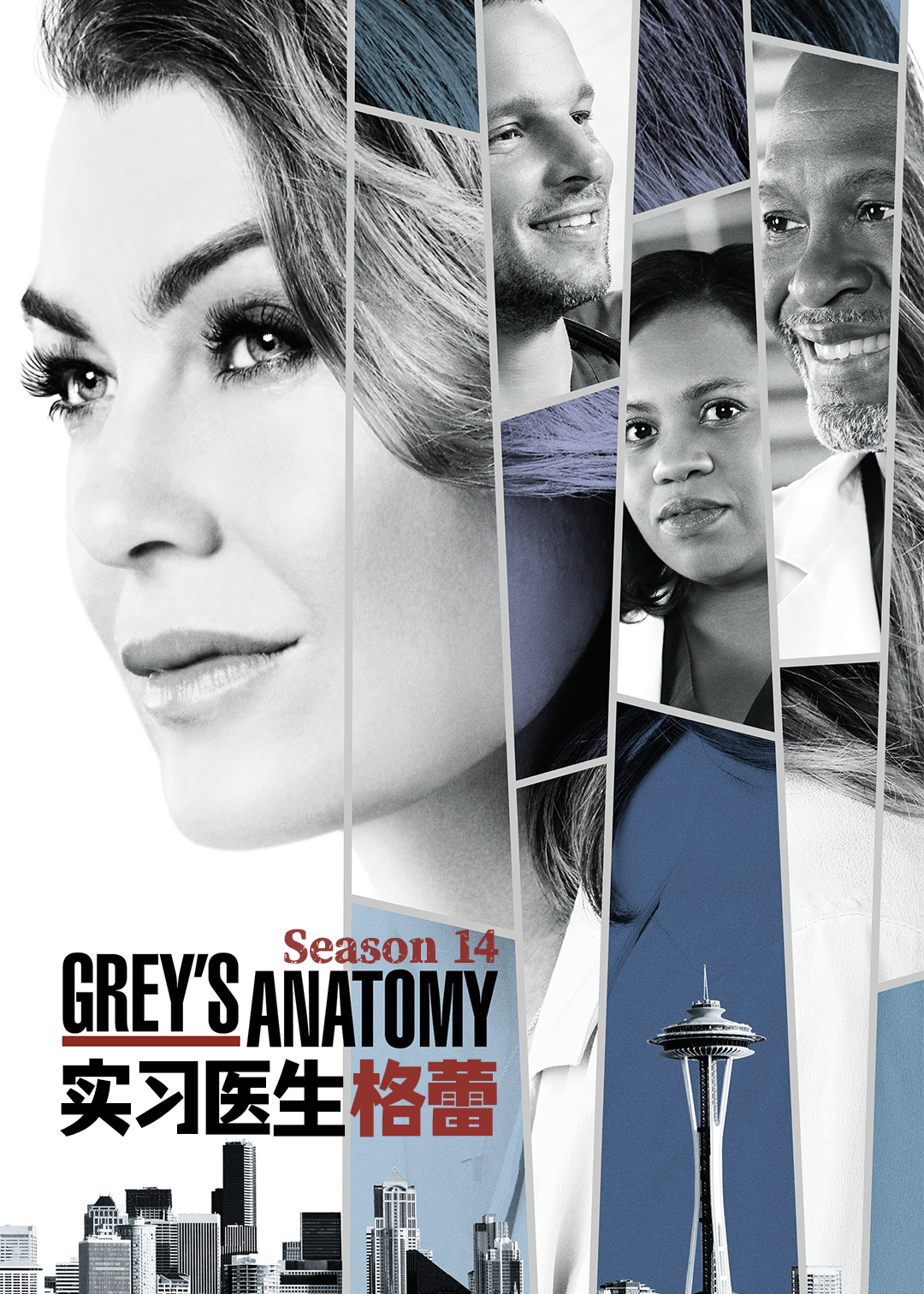 实习医生格蕾第十四季