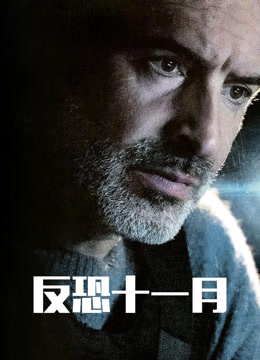 反恐十一月 普通话