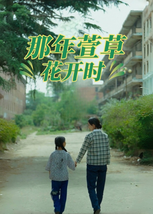 那年萱草花开时