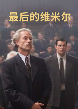 最后的维米尔 普通话