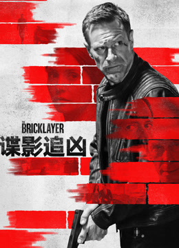 谍影追凶 普通话