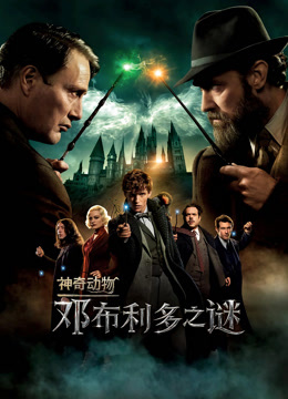 神奇动物：邓布利多之谜 普通话