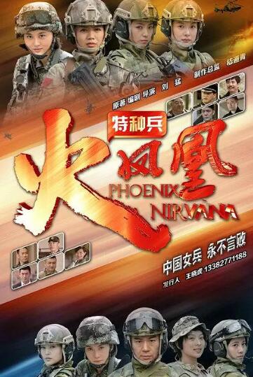 特种兵之火凤凰DVD版