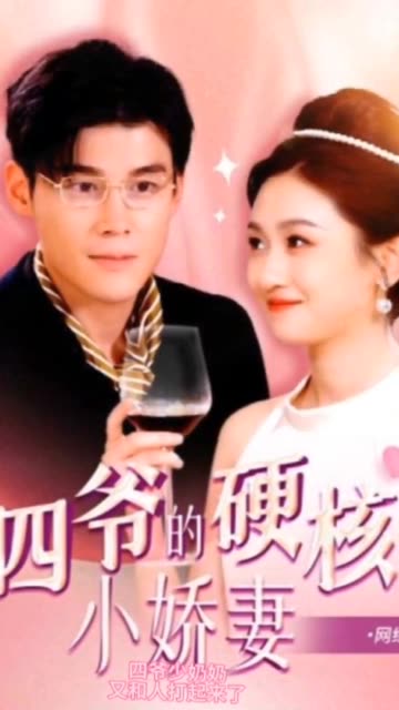 四爷夫人又和人打起来了四爷的硬核小娇妻