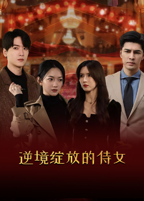 逆境绽放的侍女