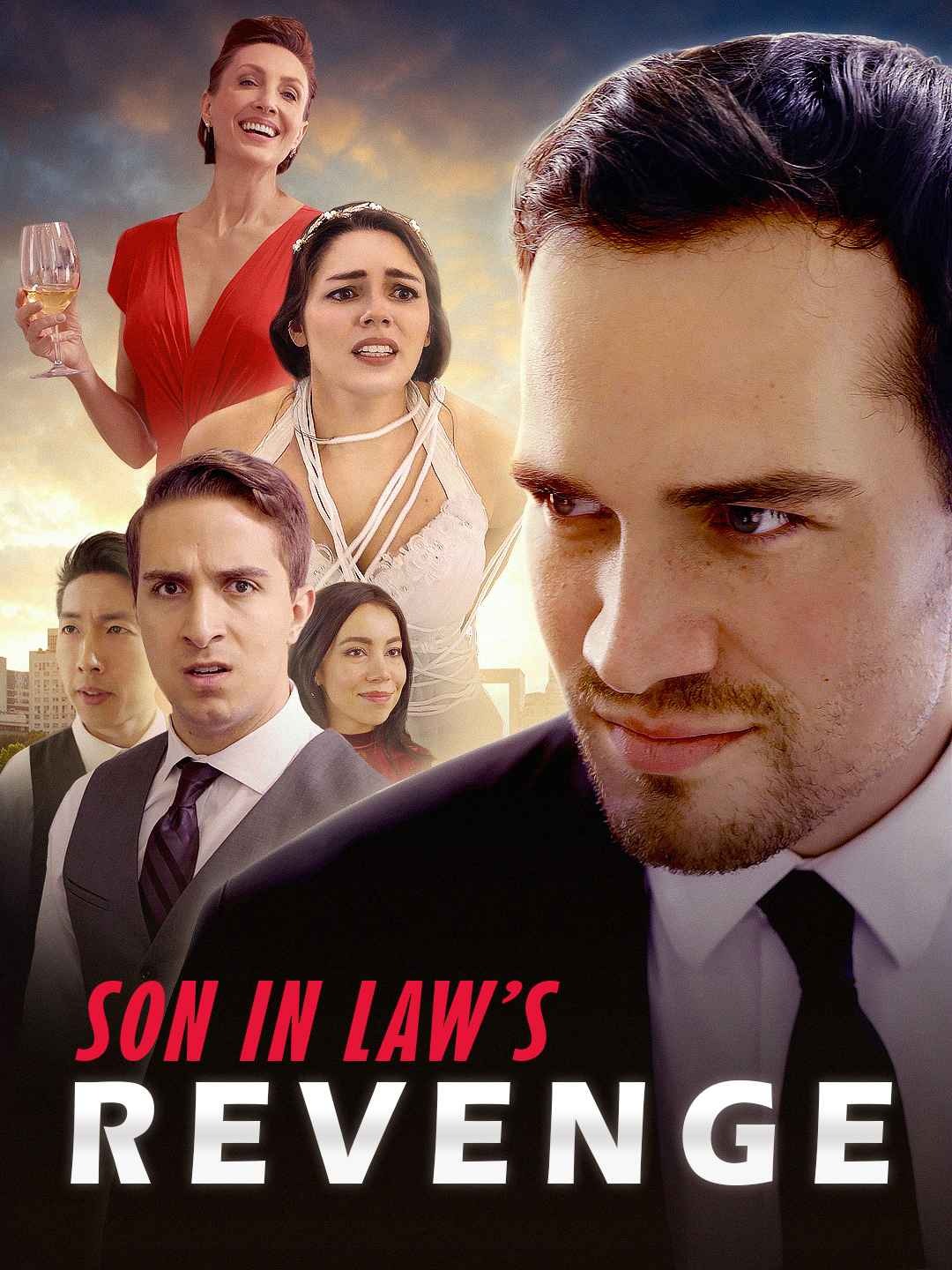 Son in Law&amp;#039;s Revenge