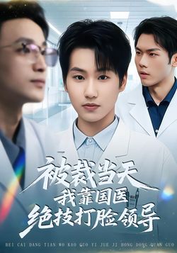 被裁当天，我靠国医绝技打脸领导