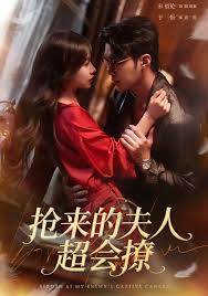 抢来的夫人超会撩