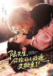 陆先生，你捡的小玫瑰又掀桌了