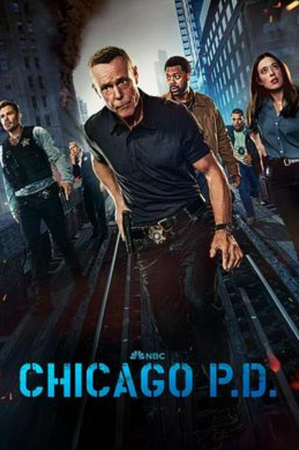 芝加哥警署第十二季