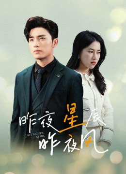 新版：昨夜星辰昨夜风