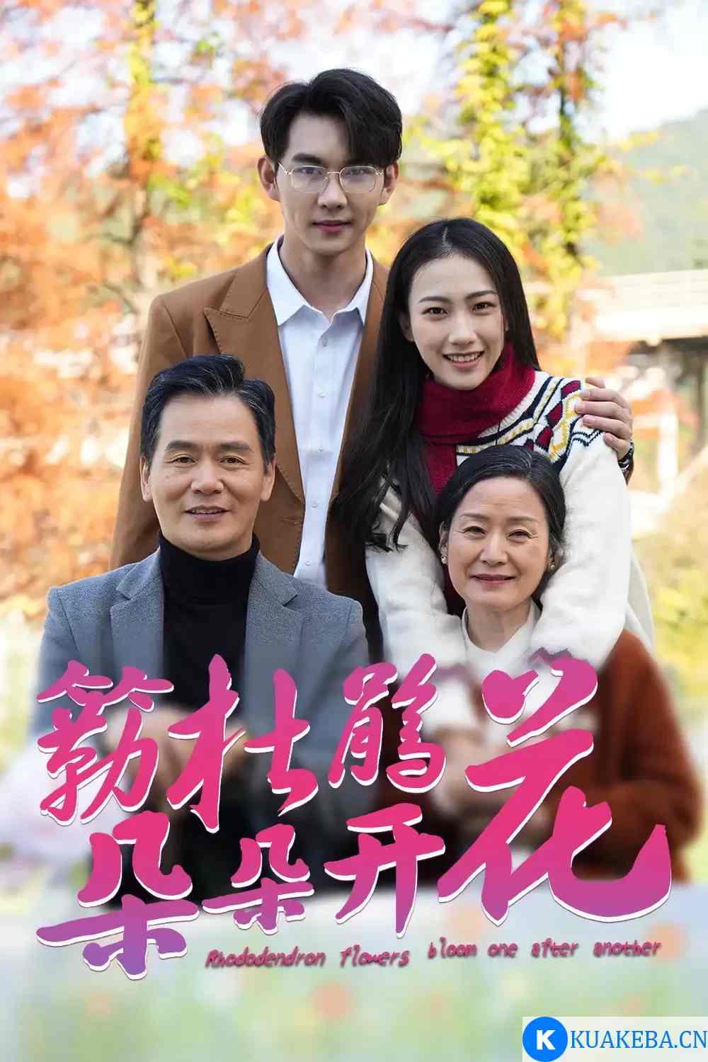 簕杜鹃花朵朵开