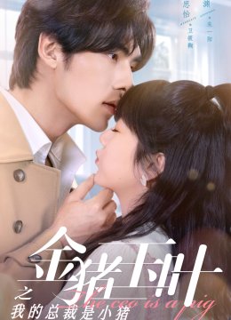 金猪玉叶之我的总裁是小猪