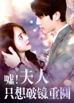 嘘！夫人只想破镜重