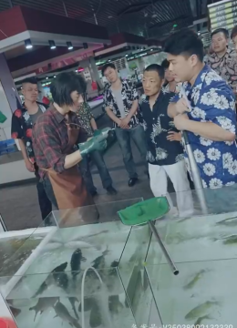 最新版：护国神帅