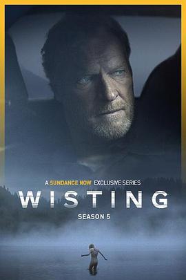 警探维斯廷第五季