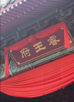 新：王妃她又美又飒