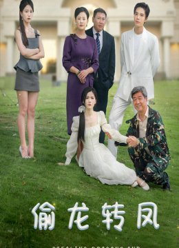 偷龙转凤 短剧版