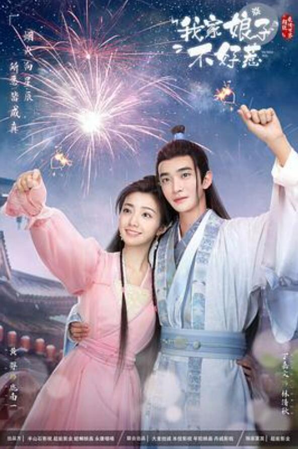 我家娘子惹不起