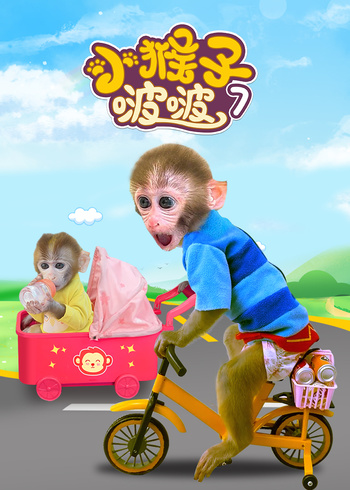 小猴子啵啵7