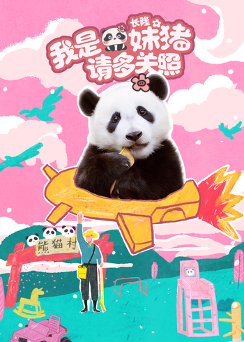 我是妹猪请多关照