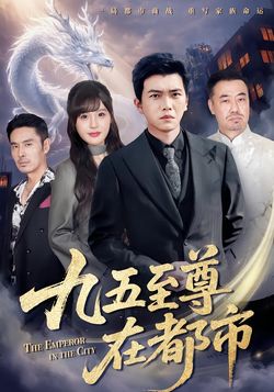 九五至尊在都市