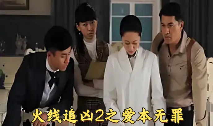 火线追凶2之爱本无罪