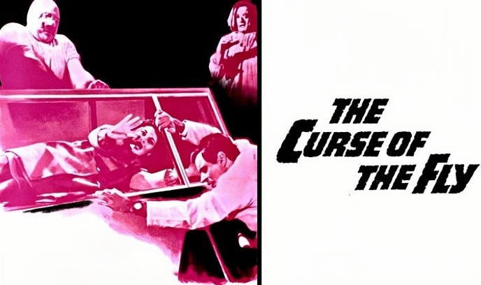 变蝇人的诅咒