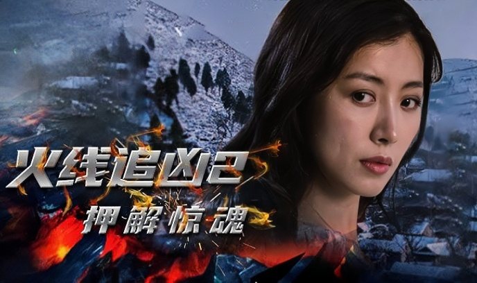 火线追凶2之押解惊魂