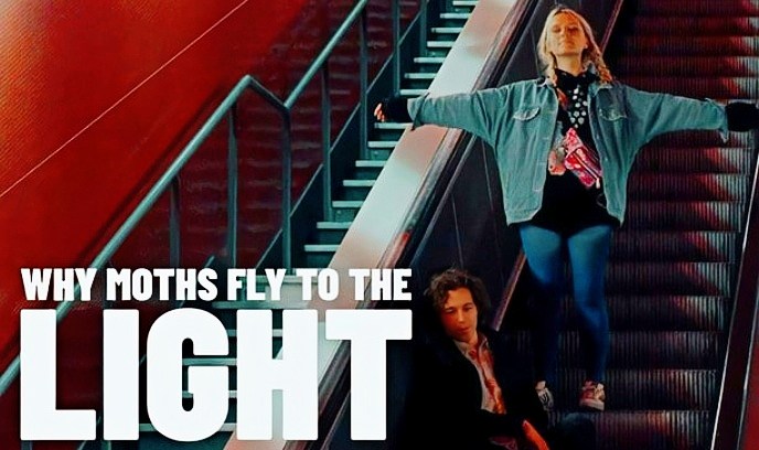 飞蛾为何会向光飞去？