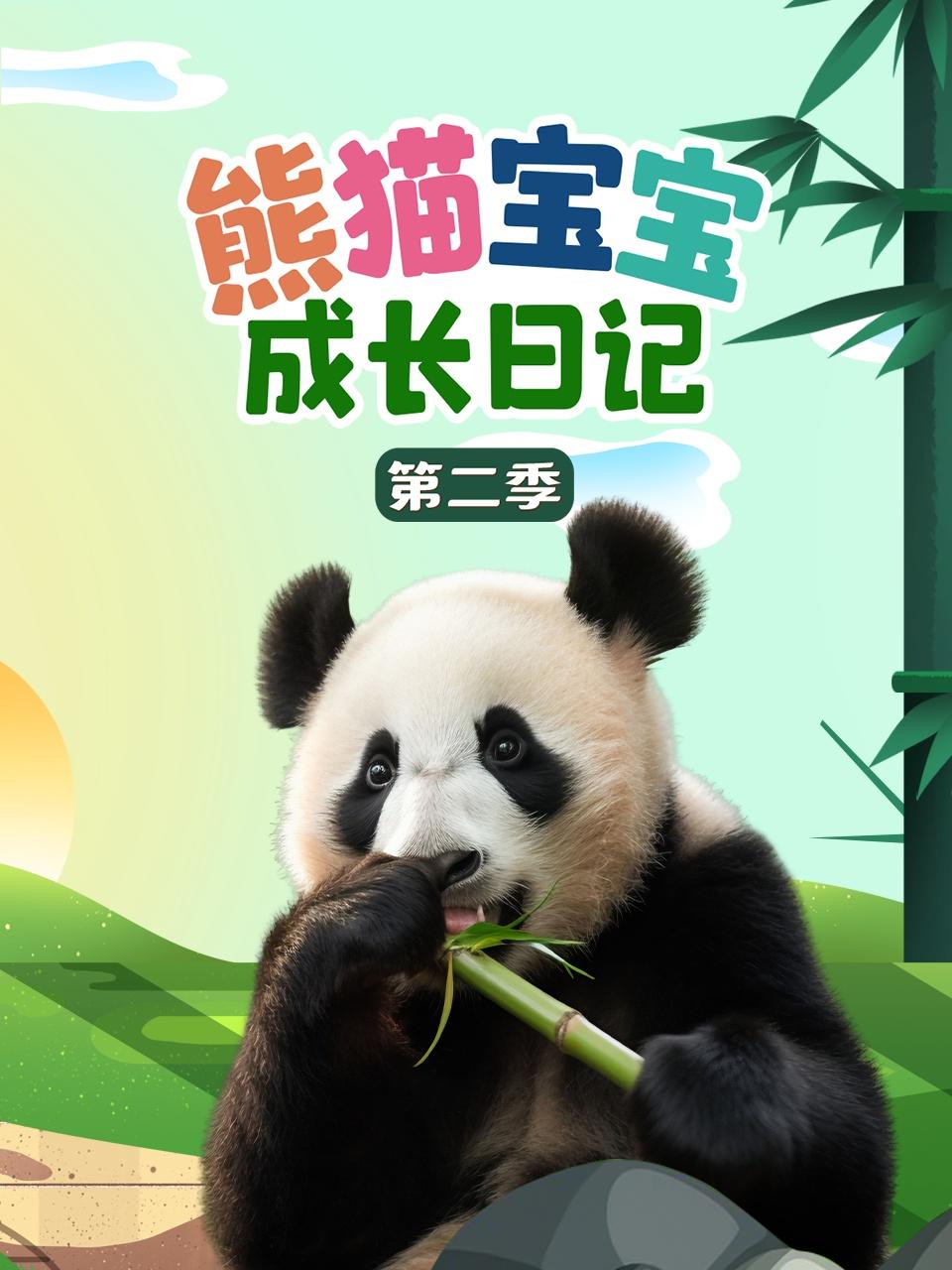 熊猫宝宝成长日记2