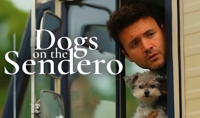 光荣之路上的狗