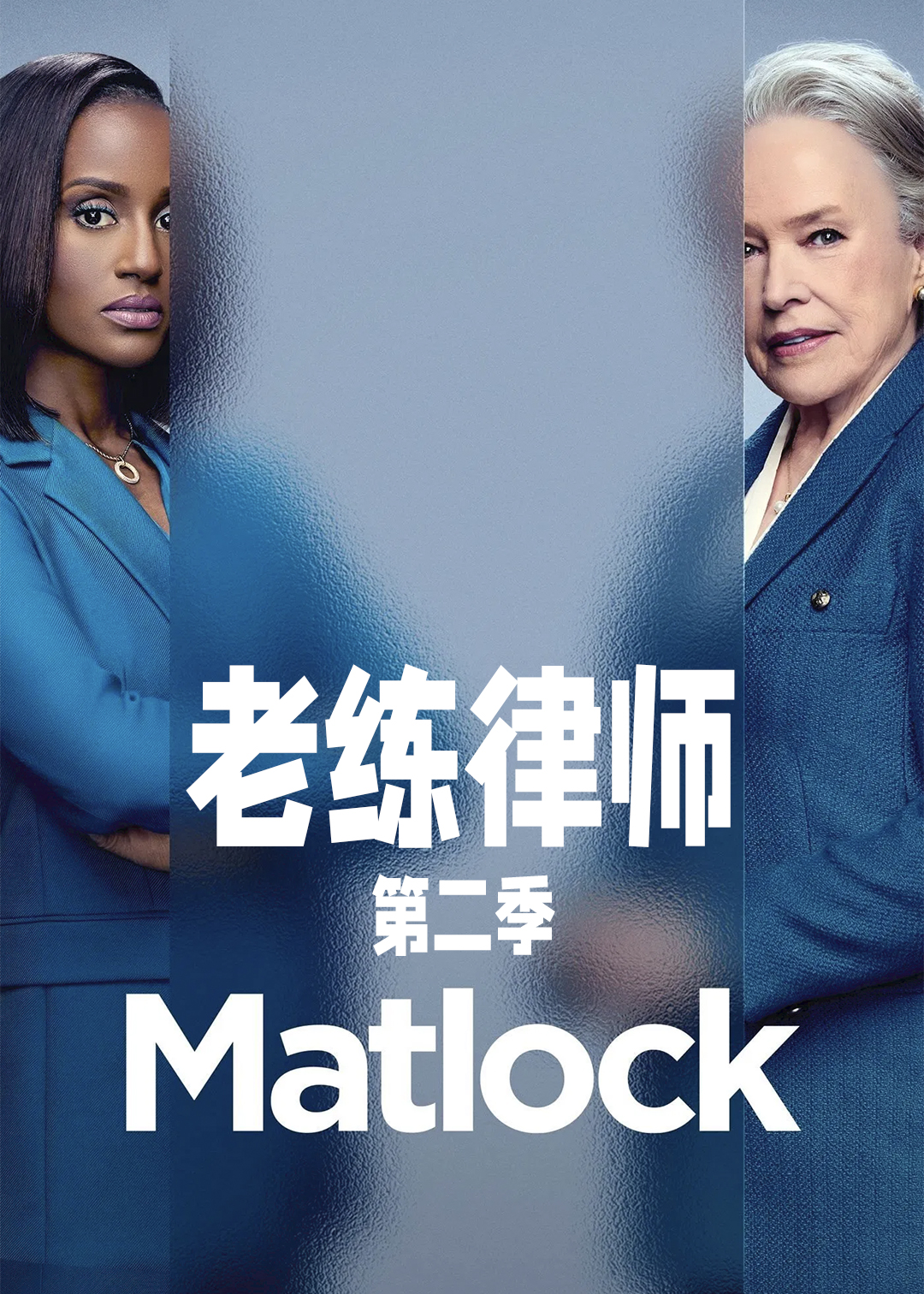 老练律师第二季