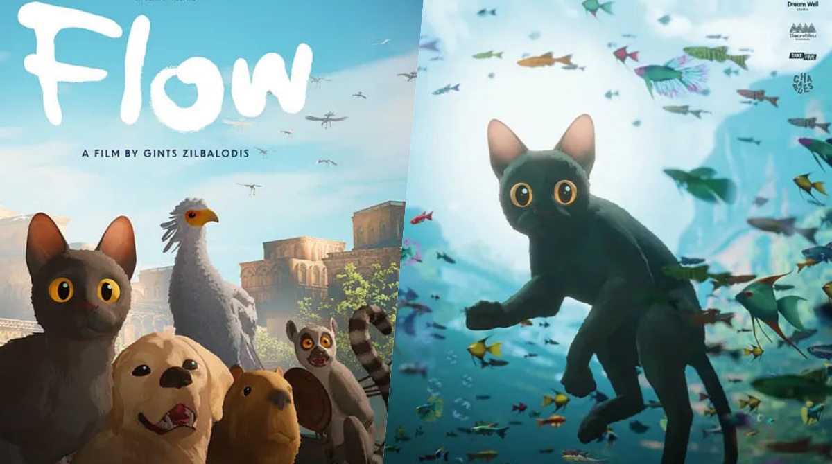 猫猫的奇幻漂流