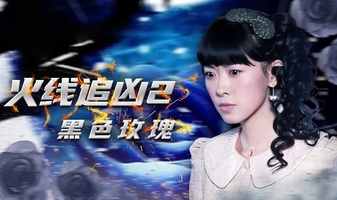 火线追凶2之黑色玫瑰