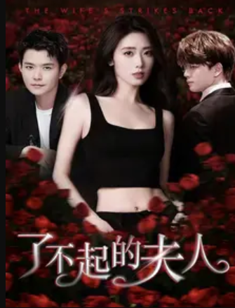 了不起的夫人