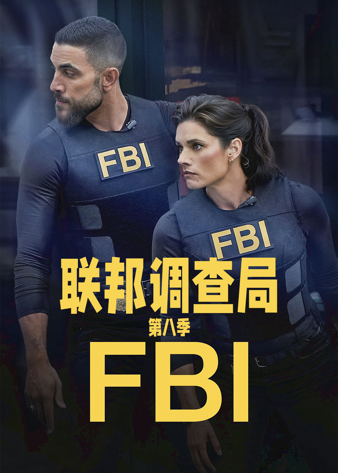 联邦调查局第八季