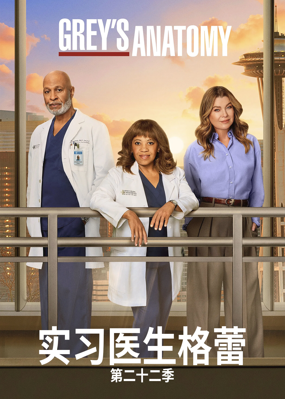 实习医生格蕾第二十二季
