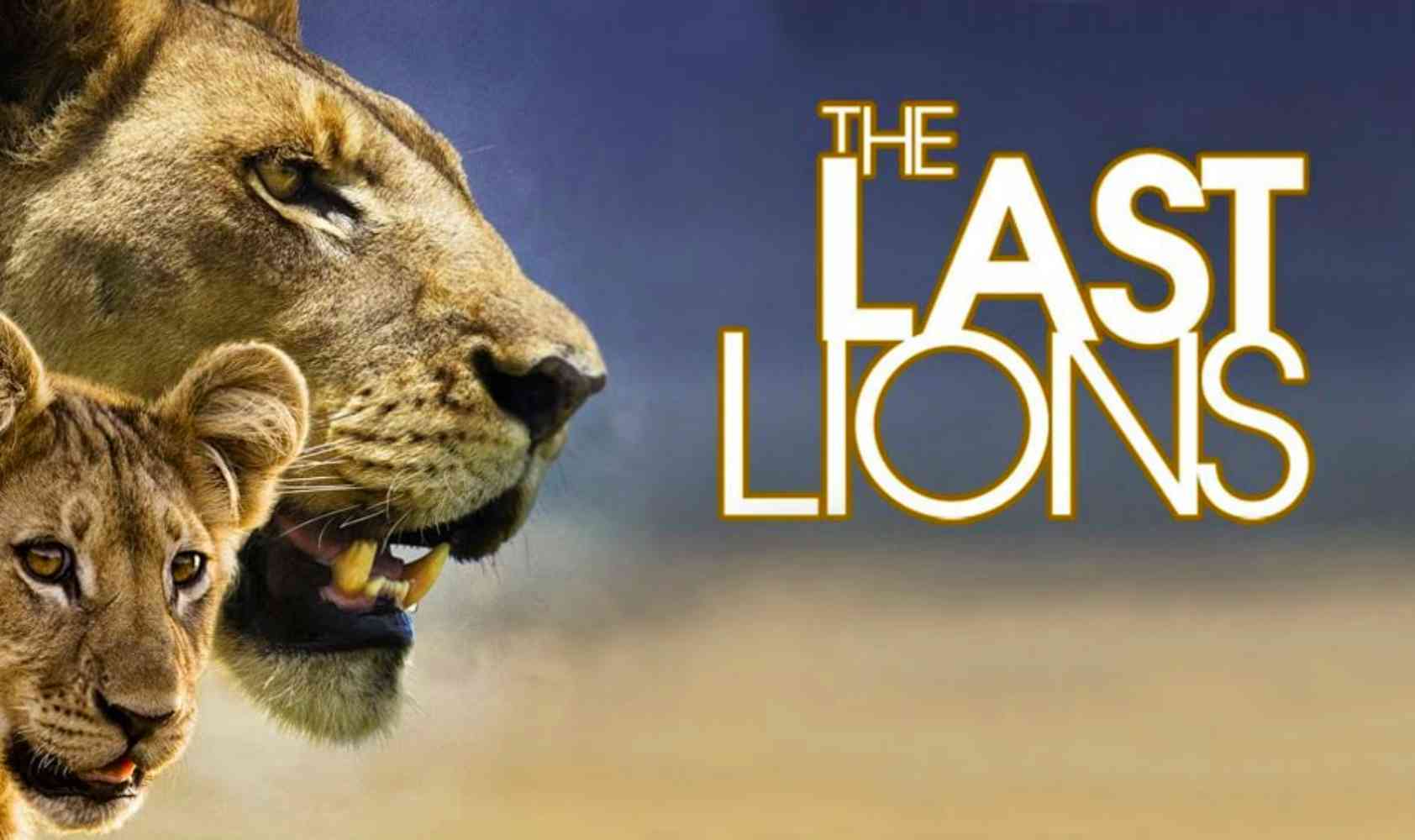 最后的狮子