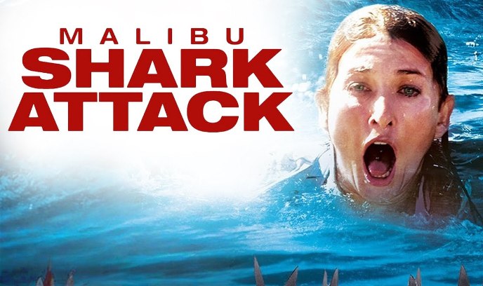 马里布鲨鱼攻击