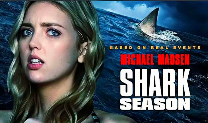 鲨鱼季节