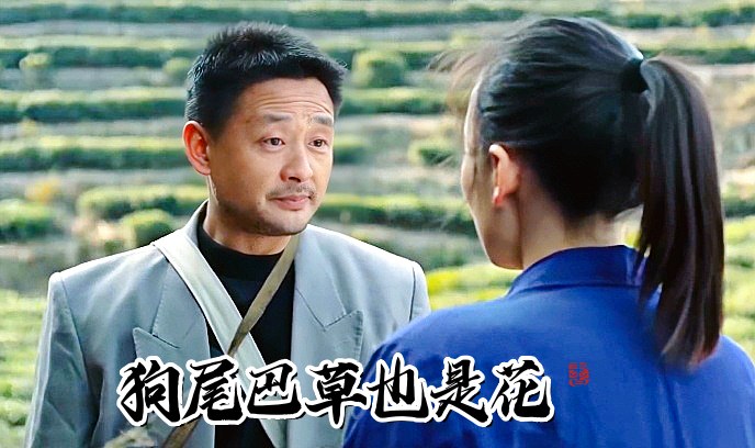 狗尾巴草也是花