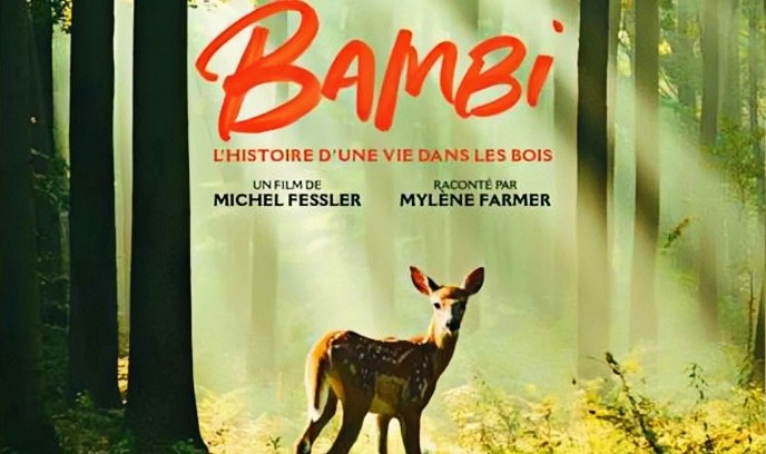 小鹿斑比，森林生活故事