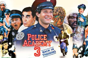 警察学校3：初为人师