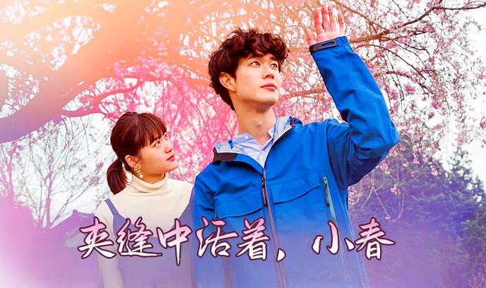 夹缝中活着，小春