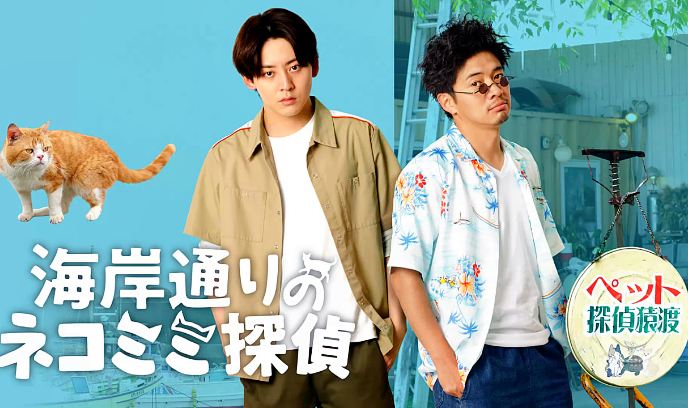 海岸大街上的猫咪侦探