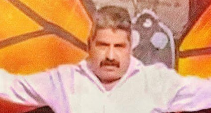 黑暗羽化: 帝王斑蝶守护者命案疑云