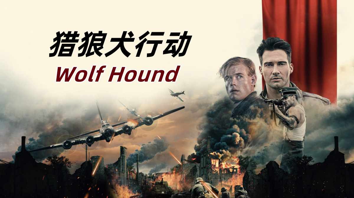 猎狼犬行动