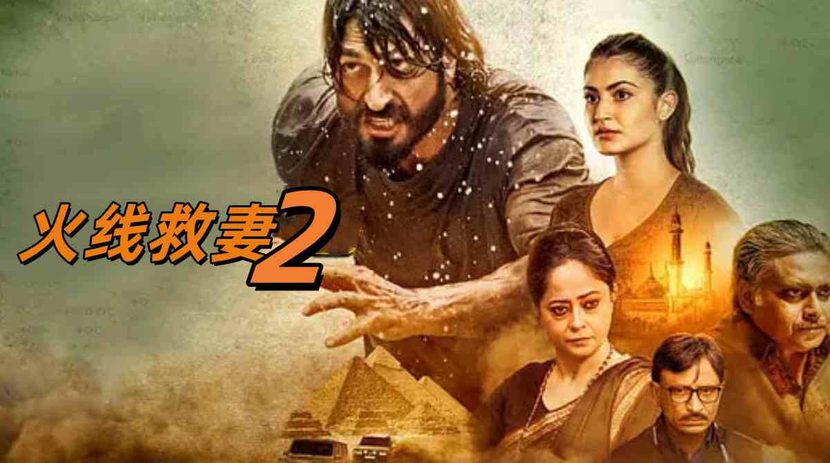 火线救妻2